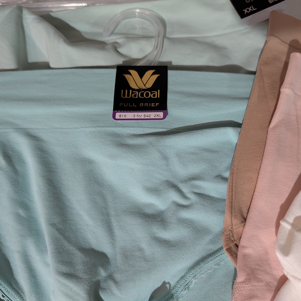 Wacoal Full Brief Panties - Soft Blue and Beige